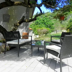 Apartments Kampor , Kampor Croatia